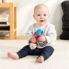 Baby Einstein Shake and Groove-maracas